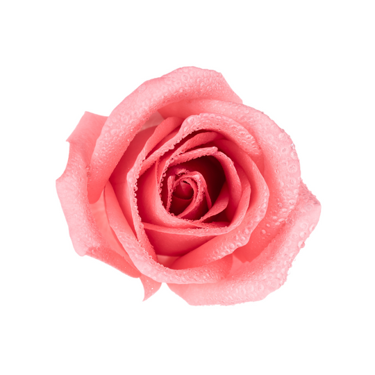 Rose Hydrosol