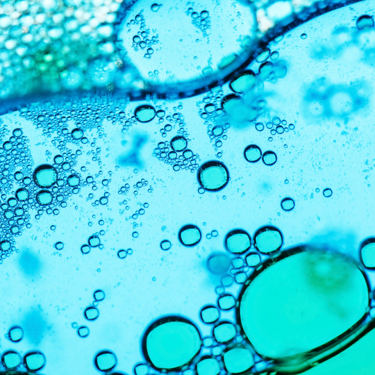 Biomimetic Superoxide Dismutase